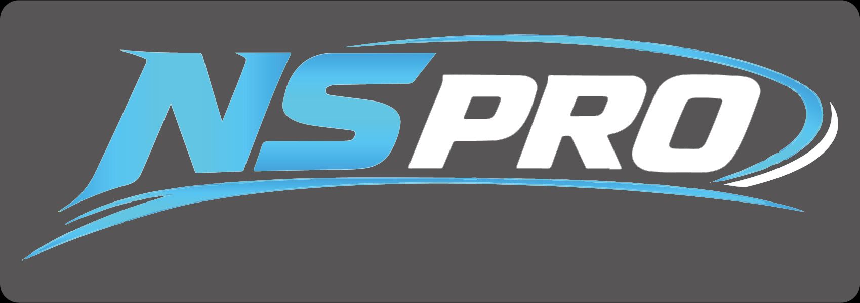 NSPRO WHEY PROTEIN GOLD